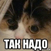  так надо