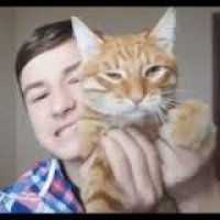 Создать мем Брайн и Тигра