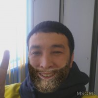 Мемы Даут