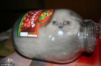 Создать мем Не еш подумой