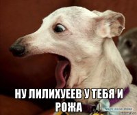  ну лилихуеев у тебя и рожа