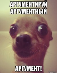 аргументируй аргументный аргумент!