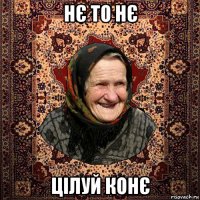 нє то нє цілуй конє