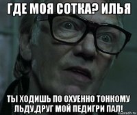 где моя сотка? илья ты ходишь по охуенно тонкому льду,друг мой педигри пал!