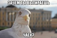 зачем ты вытираешь чаек?