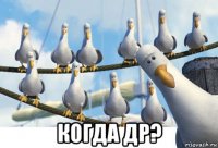  когда др?