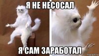 я не несосал я сам заработал