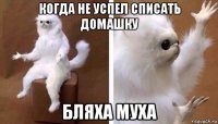 когда не успел списать домашку бляха муха