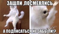 зашли ,посмеялись а подписаться не забыли!?