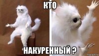 кто накуренный ?