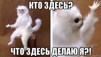 кто здесь? что здесь делаю я?!