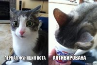 первая функция кота активирована