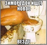 зимородок ищет новое везде