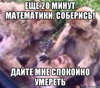 еще 20 минут математики. соберись! дайте мне спокойно умереть