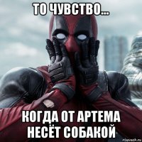 то чувство... когда от артема несёт собакой