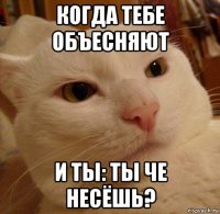 когда тебе объесняют и ты: ты че несёшь?