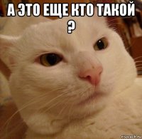 а это еще кто такой ? 