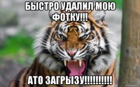 быстро удалил мою фотку!!! ато загрызу!!!!!!!!!!