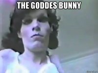 the goddes bunny 