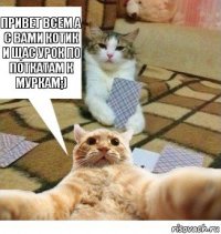 Привет всем а с вами котик и щас урок по поткатам к муркам;)