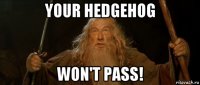 your hedgehog won't pass!