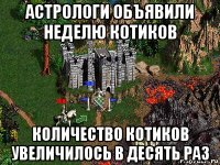 астрологи объявили неделю котиков количество котиков увеличилось в десять раз