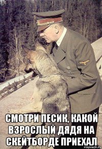  смотри песик, какой взрослый дядя на скейтборде приехал