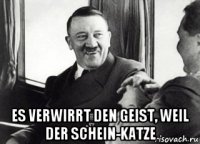  es verwirrt den geist, weil der schein-katze