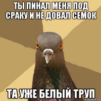 ты пинал меня под сраку и не довал семок та уже белый труп