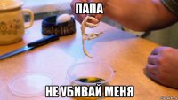 папа не убивай меня