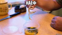 каеф 