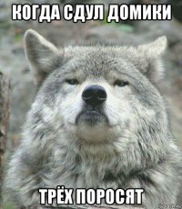 когда сдул домики трёх поросят