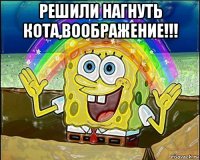 решили нагнуть кота,воображение!!! 