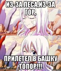 из-за леса,из-за гор, прилетел в башку топор!!!