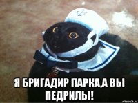  я бригадир парка,а вы педрилы!
