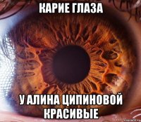 карие глаза у алина ципиновой красивые