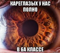 кареглазых у нас полно в 6а классе