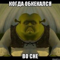 когда обкекался во сне