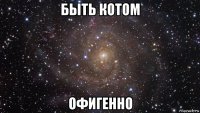 быть котом офигенно