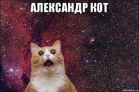 александр кот 