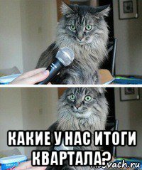  какие у нас итоги квартала?