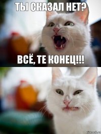 Ты сказал нет? Всё, те конец!!!