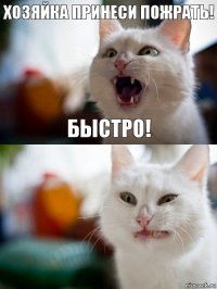 ХОЗЯЙКА ПРИНЕСИ ПОЖРАТЬ! Быстро!