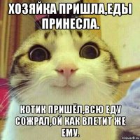 хозяйка пришла,еды принесла. котик пришёл,всю еду сожрал,ой как влетит же ему.