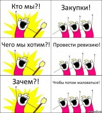 Кто мы?! Закупки! Чего мы хотим?! Провести ревизию! Зачем?! Чтобы потом жаловаться!