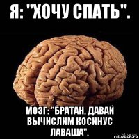 я: "хочу спать". мозг: "братан, давай вычислим косинус лаваша".