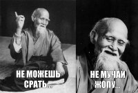 не можешь срать... не мучай жопу...