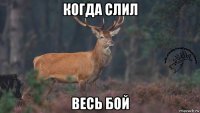 когда слил весь бой