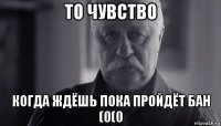 то чувство когда ждёшь пока пройдёт бан (0(0