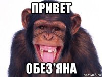 привет обез'яна